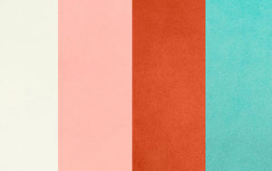 Solid Cuddle Minky Fabric
